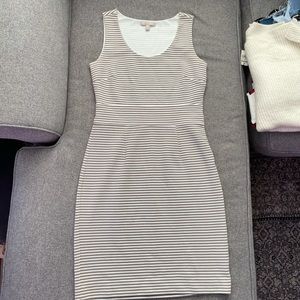 banana republic body con work dress